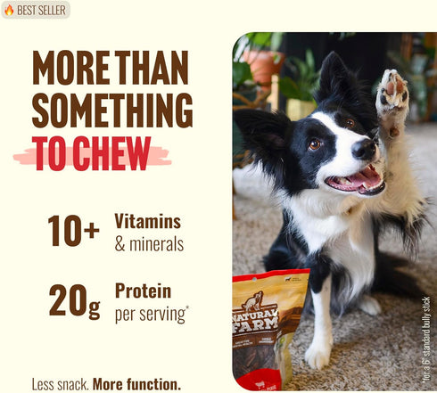 (6 Inch, 50 Pack), Natural Farm Bully Sticks Thin Pixie Pizzle Beef Treats, Grain-Free, High Protein, Best Rawhide