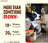 (6 Inch, 50 Pack), Natural Farm Bully Sticks Thin Pixie Pizzle Beef Treats, Grain-Free, High Protein, Best Rawhide