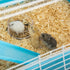 5-Floor Large Twin Towner Play Tube Habitat Syrian Hamster Rodent Gerbil Mouse Mice Rat Wire Animal Critter Cage