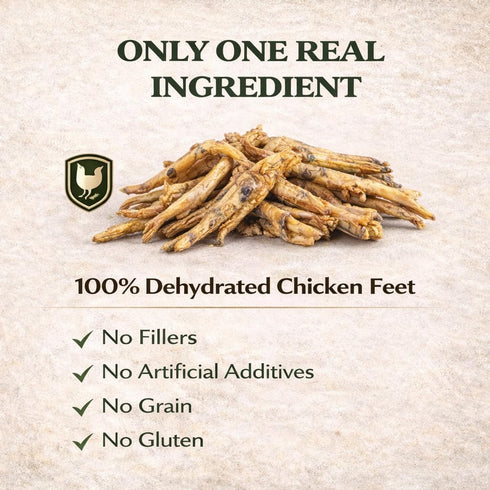 Dogscape chew 50 Dehydrated Chicken Feet Dog Treats, Natural Dental Chews for Dogs, Pieces