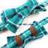 Cat Collar Breakaway with Bell and Bow Tie, Adjustable Plaid Design for Kittens, 6.8-10.8in, Cyan-Blue