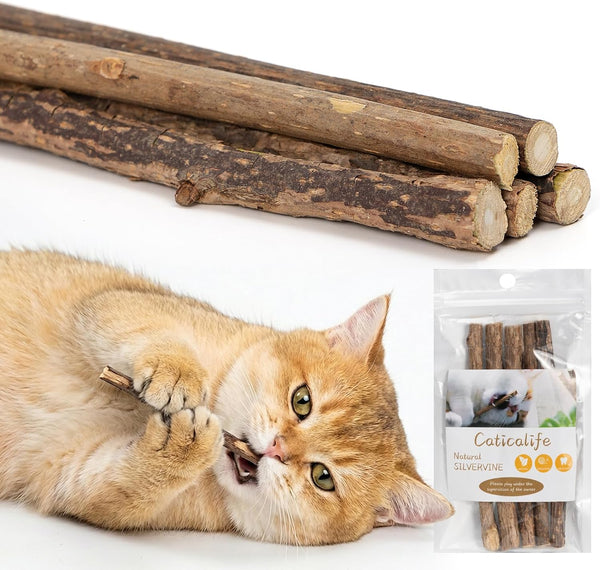 5 Pack Silvervine Sticks for Cats, Natural Cat Chew Toys for Teeth