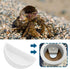 ECSiNG 6PCS 4.21x2x1.05cm Hermit Crab Mini Ceramic Dish Semicircle Shape Reptile Food Bowl for Spider Hermit Crab
