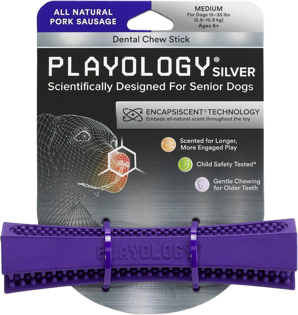 Playology Silver Dental Chew Stick Dog Toy for Medium Senior Dogs (15-35lbs) - All-Natural Pork Scented