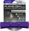 Playology Silver Dental Chew Stick Dog Toy for Medium Senior Dogs (15-35lbs) - All-Natural Pork Scented