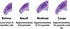 40 Pack Soft Nail Caps for Cat Claws, Purple Holographic Glitter, Small Size