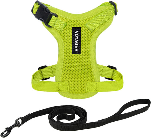 Voyager Step-in Lock Adjustable Cat Harness with Leash Combo Set, Neoprene Handle 5ft - Supports Small, Medium, Large