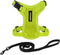 Voyager Step-in Lock Adjustable Cat Harness with Leash Combo Set, Neoprene Handle 5ft - Supports Small, Medium, Large