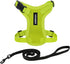 Voyager Step-in Lock Adjustable Cat Harness with Leash Combo Set, Neoprene Handle 5ft - Supports Small, Medium, Large