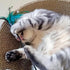 4 PCS Interactive Cat Teaser Wand - 20" Long Wand with Loud Bell for Cats and Kittens