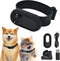 1080p HD Cat Dog Pet Camera Collar with Video Recording Sports Camera