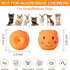 Squeaky Dog Toy Balls with Funny Piggy Face, Durable Teething Latex Rubber, Interactive Fetch Play (6PCS) for Small