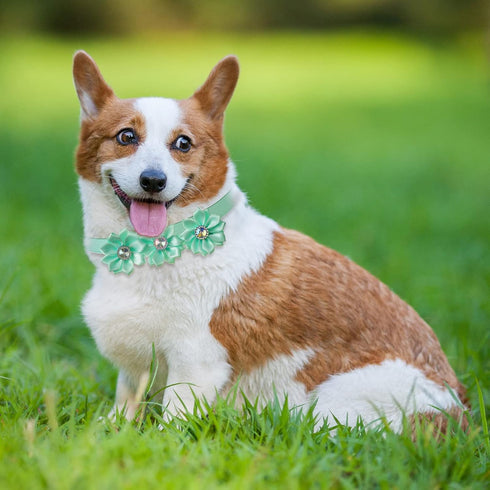 80 Pcs Dog Bowtie Flower Collars, Adjustable Girl Puppy Collars with Diamond Crystal for Dogs Cats Pet Supplies
