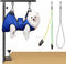 Aetherika Foldable Dog Grooming Table Arm Adjustable 28"-41" Clamp Arm with Hammock, No-Sit