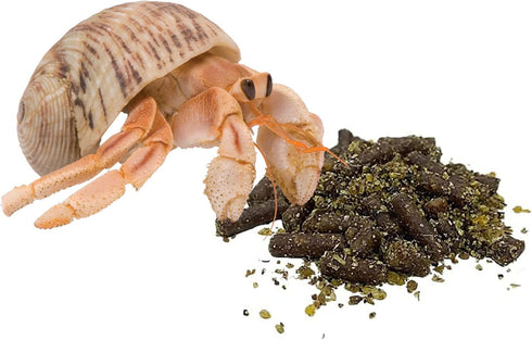 2 Pack Needzo Hermit Crab Food Bottles for Refill, All in One Natural Supplies and Habitat Necessities for Crabs, Two