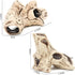 ALEGI Aquarium Decoration Rock Caves, Safe Hideaway for Shrimp, Cichlid, Betta Fish (TreeStumpL+S)