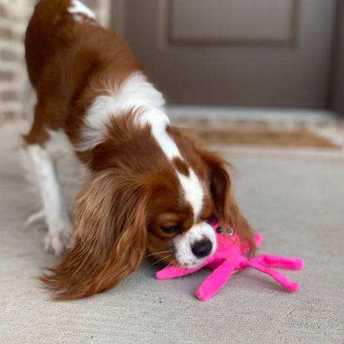 Snuggle Puppy Tender-Tuffs Small Dog Toy, Pink Plush Octopus for Small Breeds with Squeaker