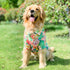 Dog Hawaiian Shirt, Summer Pet Clothes Large Dog Cool Costume Beach T-shirt for Medium Large Dog(Red,7XL)