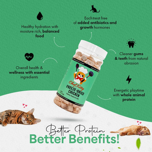 100% 1.75 oz Freeze Dried Chicken Cat Treats | Healthy Dog Food Toppers Human Grade | Single Ingredient, Grain Free