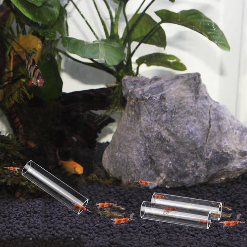 WEAVERBIRD 3-Tube Fish Shrimp Feeder - Acrylic Transparent Pipe Shelter for Aquarium