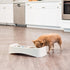 IRIS USA Elevated Dog Bowls, Adjustable Height, 2 Thick 64 oz Stainless Steel Bowls, Spill-Proof, Made in USA Plastic