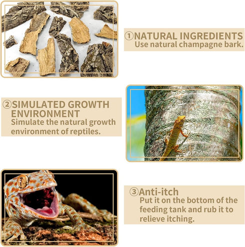 Cork Terrarium Background 15.7x11.8in Natural Cork Large Bark Backdrop for Reptile Habitat Decor (2 PCS)