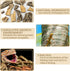 Cork Terrarium Background 15.7x11.8in Natural Cork Large Bark Backdrop for Reptile Habitat Decor (2 PCS)