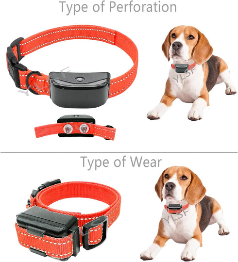 Dog Nylon Collar Strap for Heavy Light-Duty Electronic Fence Training Barking Collar, 3/4 Inch Replacement