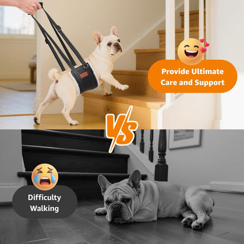 LOOBANI Portable Dog Sling for Back Legs, Hip Support Harness for Canine Aid and K9 Rehabilitation