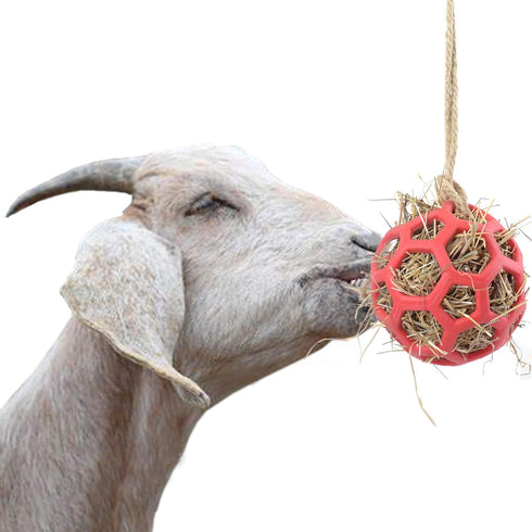 Goat Feeder Toy, 50' Rope, Headbutting Ball for Exercise, Stress Relief, Hay and Treats Compartment