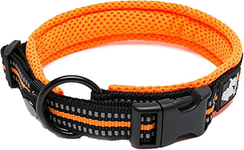 Truelove Dog Collar, Reflective Premium Duraflex Buckle, High Grade Nylon Webbing, No Choke, Orange, XS