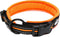 Truelove Dog Collar, Reflective Premium Duraflex Buckle, High Grade Nylon Webbing, No Choke, Orange, XS
