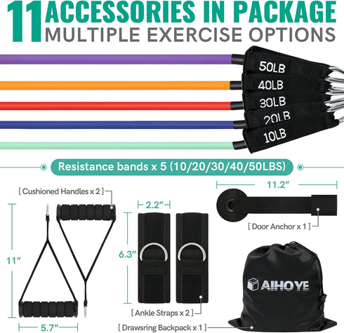 Resistance Bands Set for Working Out, Exercise Bands with Door Anchors, Stretch Bands for Home Fitness