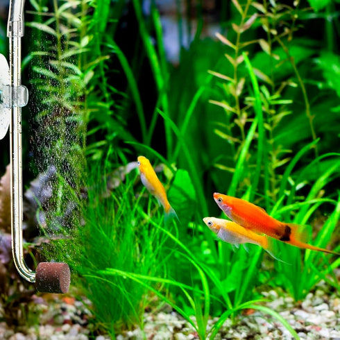 DONGKER Aquarium CO2 Diffuser, Acrylic Fish Tank Atomizer with Suction Cups for 4mm I.D. CO2 Tube