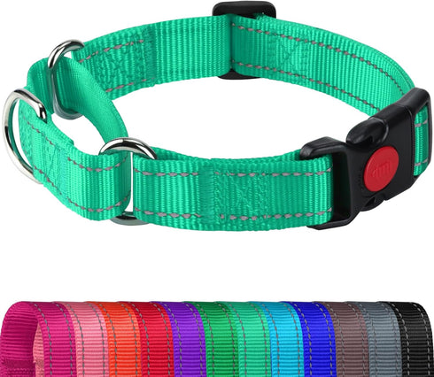 Joytale Martingale Collar for Dogs - Reflective Heavy Duty with Quick Release Buckle, Adjustable Nylon for Medium Dogs