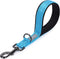 VIVAGLORY Short Dog Leash, Traffic Leash for Medium & Large Dogs, 12 INCH, Lake Blue