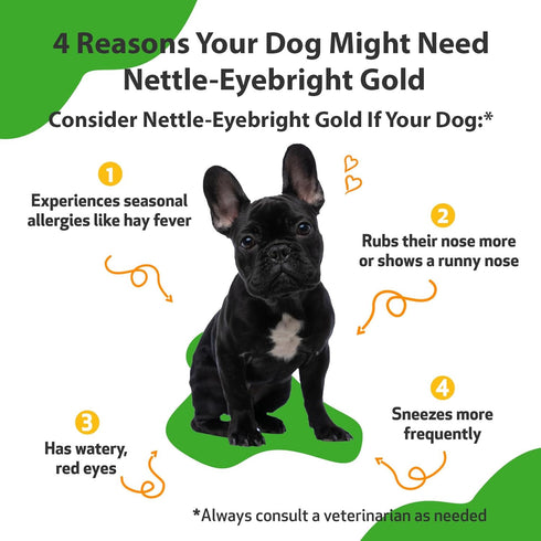 Pet Wellbeing Nettle-Eyebright Gold for Dogs - Natural Herbal Supplement for Allergies, 2 oz