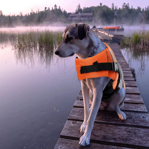 Lightweight Dog Life Jacket Swimming Vest, High Reflective Pet Lifesaver with Lift Handle, Leash Ring - Orange, L
