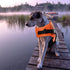 Lightweight Dog Life Jacket Swimming Vest, High Reflective Pet Lifesaver with Lift Handle, Leash Ring - Orange, L