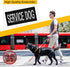 Service Dog Patches Set, 10Pack Removable Dog Vest Patches, Dog Paw Pattern Patches for Dog Harness, in Training Dog Patches by HANWER