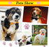 Dog Bow Tie Collar, 10 Pcs Grooming Bowties for Dogs Cats, Elegant Color Pack Pet Costumes