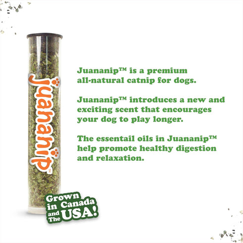 Doggijuana Tuffer Chewer Plush Dog Toy | Funny Dog Toy Plush with Juananip Catnip for Dogs | Calming Aid for Dogs |