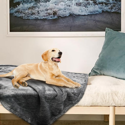 Onarway Washable Dog Blanket for Puppy - 4 Packs of 28”x20” Fluffy Soft Throws for Cats and Dogs - Fleece Blankets for