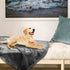 Onarway Washable Dog Blanket for Puppy - 4 Packs of 28”x20” Fluffy Soft Throws for Cats and Dogs - Fleece Blankets for