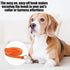 18 Pieces Slip Leads Dog Leash - 6 Feet Pet Rope with O-Ring for Small, Medium & Large Dogs for Grooming and Training