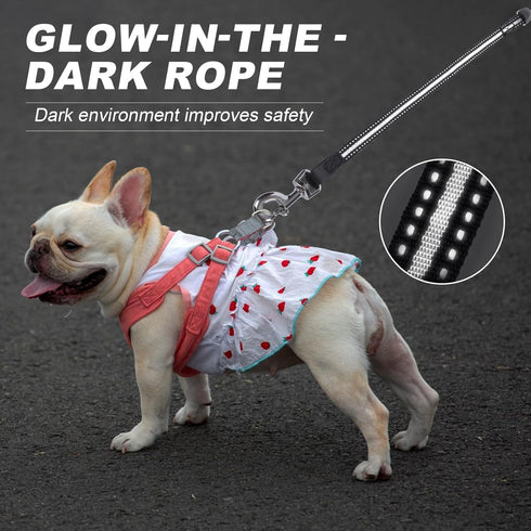 Retractable Dog Leash, 20 FT Walking Leash for Small/Medium Dogs or Cats up to 44 lbs, Tangle Free Nylon Cord
