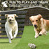 Dog Toys for Aggressive Chewers Large Breed - Rubber German Shepherd Toys - Indestructible Treat Toys