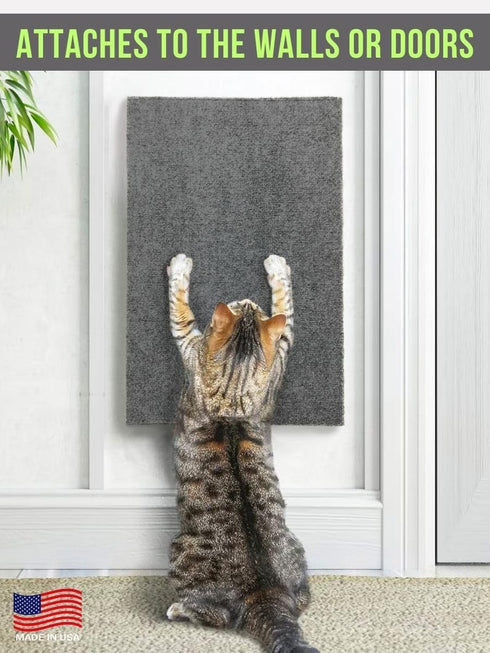 Cat Scratching Mat, 24 x 15 Inch Horizontal Floor Pad with Sticky Tapes, Protects Couch and Carpets