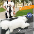 Backpack, Backpack, Backpacks 2.5-5lbs, Pawaboo Pet Carrier Pet Front Dog Cat Carrier Legs Out, Easy-Fit for Traveling