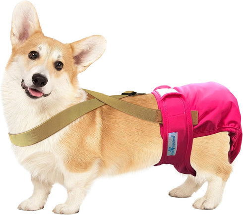 Paw Inspired Dog Diaper Suspenders | Adjustable Stretchy Suspenders for Disposable & Washable Diapers, Fits Small to